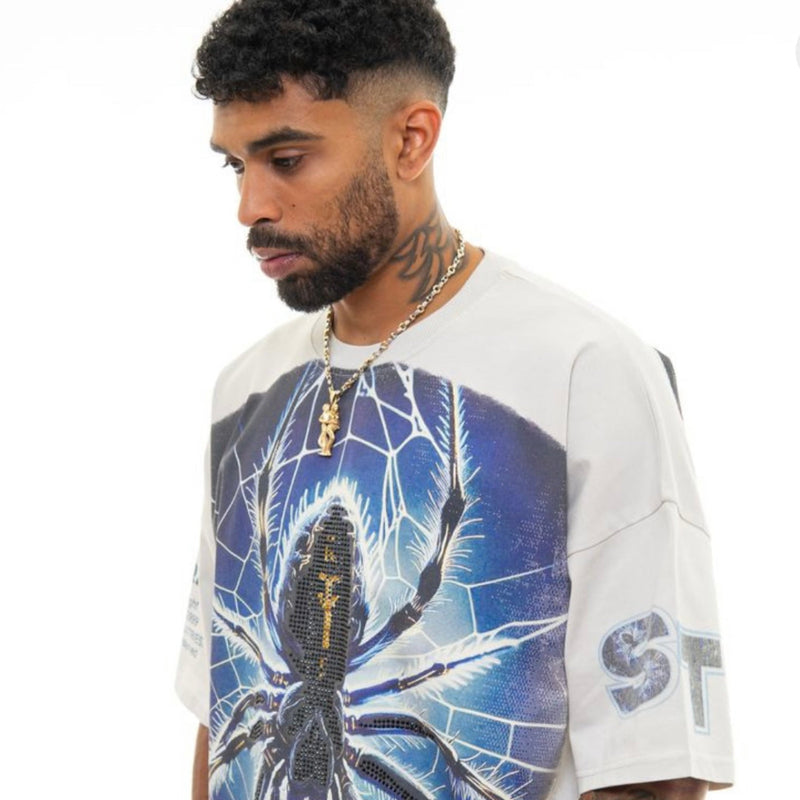 STRAY WIDE & CROP FIT TEE (LT GREY)